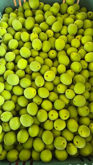 정성영님의 작성글 사진