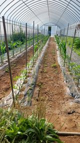 팜모닝 자유주제·자유게시판 게시글 이미지