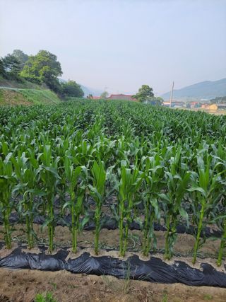 이민규님의 자유주제 · 자유게시판 작성글 사진