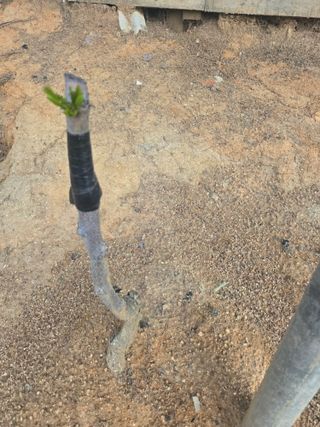 자연인님의 자유주제 · 자유게시판 작성글 사진