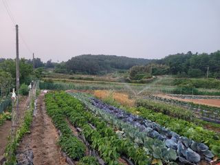 희찬(김동필)님의 자유주제 · 자유게시판 작성글 사진
