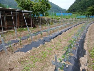 송명자님의 자유주제 · 자유게시판 작성글 사진