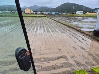 사천시향촌동 돼지띠님의 자유주제 · 자유게시판 작성글 사진