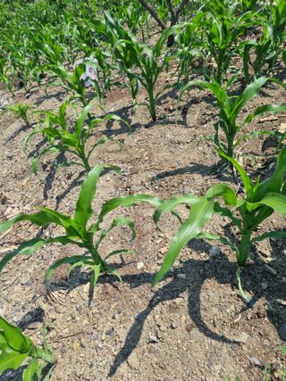 김용대님의 자유주제 · 자유게시판 작성글 사진