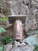 팜모닝 자유주제·자유게시판 게시글 이미지