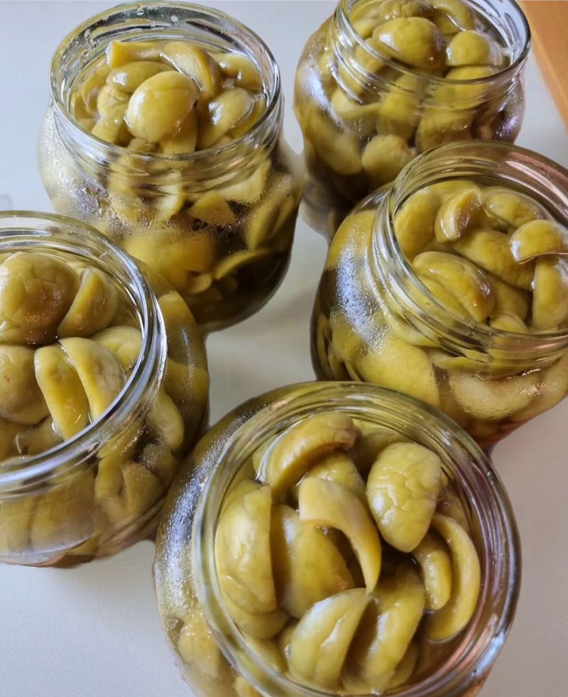 농부손녀님의 장터 판매 상품 [새콤달콤 큼직한 매실 청매실 ] 첨부 사진