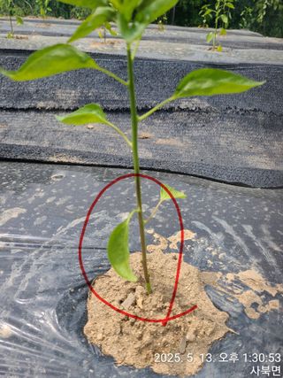 윤인석님의 자유주제 · 자유게시판 작성글 사진