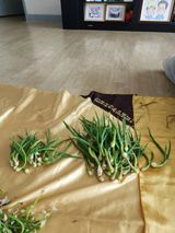 팜모닝 · 게시글 이미지