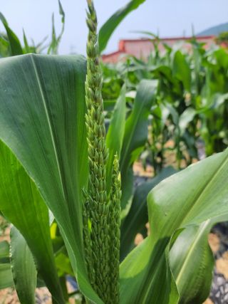 이민규님의 자유주제 · 자유게시판 작성글 사진