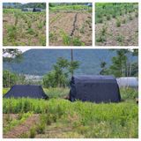 팜모닝 자유주제·자유게시판 게시글 이미지