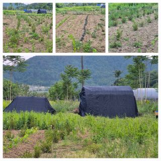 최금자님의 자유주제 · 자유게시판 작성글 사진