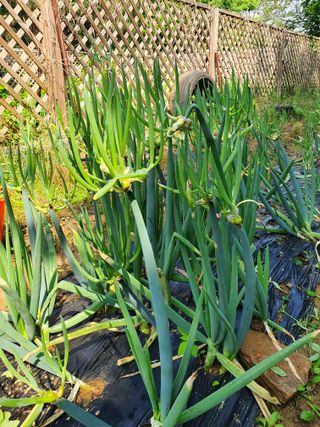 김재량 가을이야.님의 작성글 사진