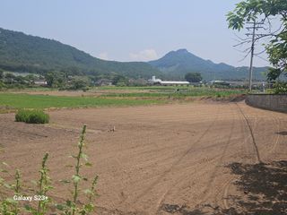 최갑수 님의 자유주제 · 자유게시판 작성글 사진