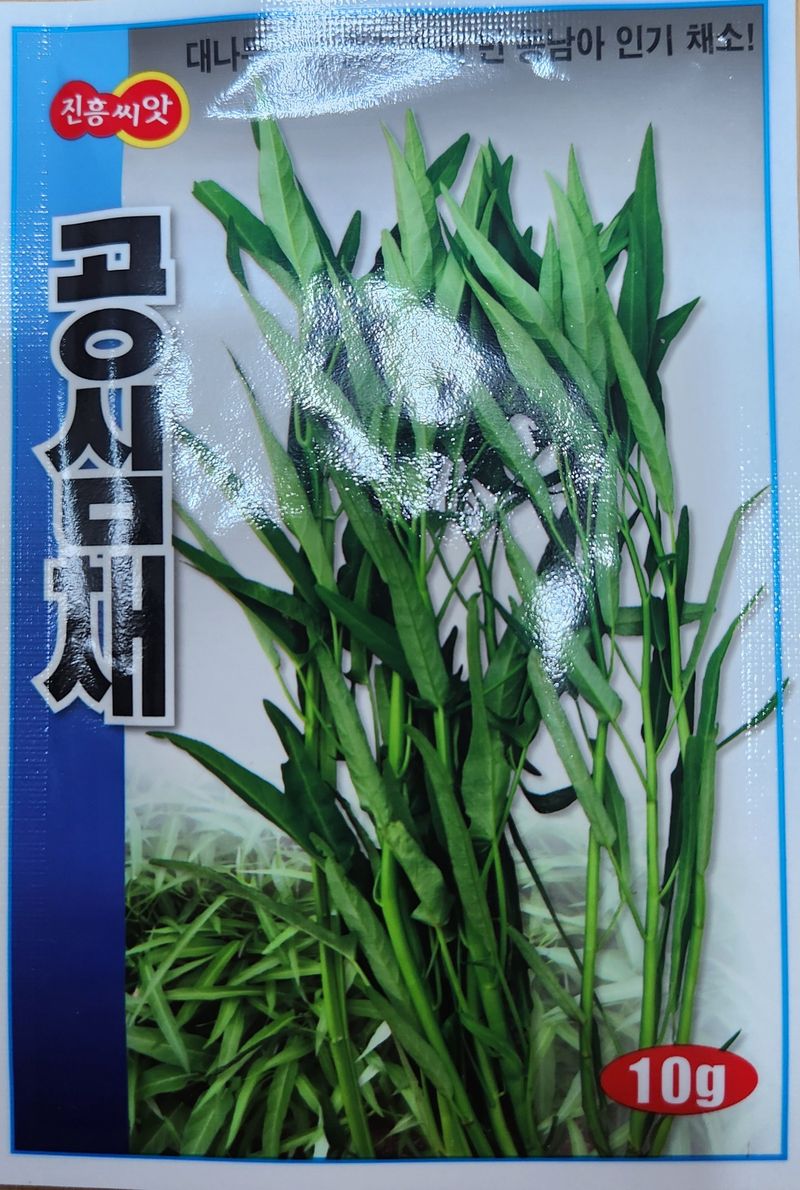 안산제일농약사님의 장터 판매 상품 [공심채 10g] 첨부 사진