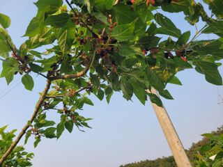 희찬(김동필)님의 자유주제 · 자유게시판 작성글 사진