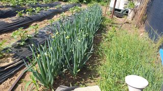 김재량 가을이야.님의 작성글 사진