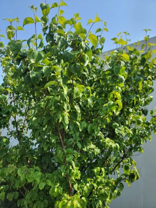 구수본님의 자유주제 · 자유게시판 작성글 사진