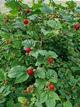 팜모닝 자유주제·사진전 게시글 이미지