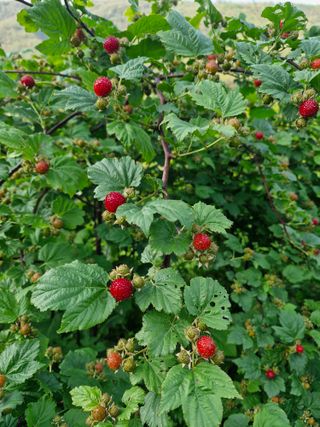 이진록님의 자유주제 · 사진전 작성글 사진