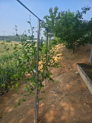 자연인님의 자유주제 · 자유게시판 작성글 사진