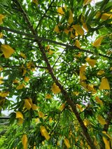 팜모닝 자유주제·자유게시판 게시글 이미지