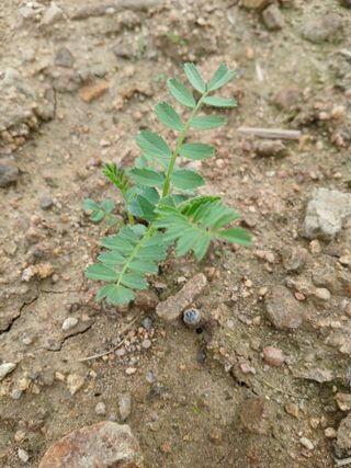 송명자님의 자유주제 · 자유게시판 작성글 사진