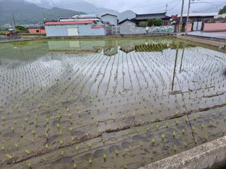 사천시향촌동 돼지띠님의 자유주제 · 자유게시판 작성글 사진