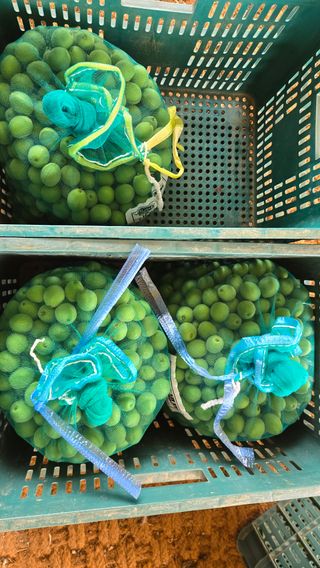 정성영님의 작성글 사진