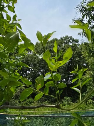 소병찬님의 자유주제 · 자유게시판 작성글 사진