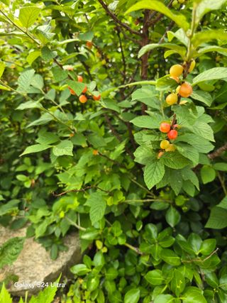 소병찬님의 자유주제 · 자유게시판 작성글 사진