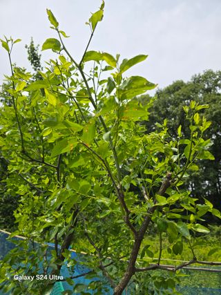 소병찬님의 자유주제 · 자유게시판 작성글 사진