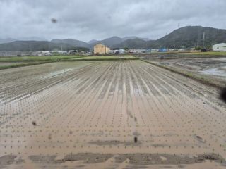 사천시향촌동 돼지띠님의 자유주제 · 자유게시판 작성글 사진