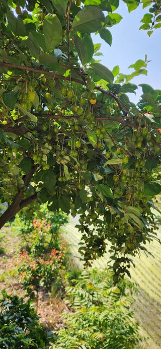 최군환님의 자유주제 · 자유게시판 작성글 사진