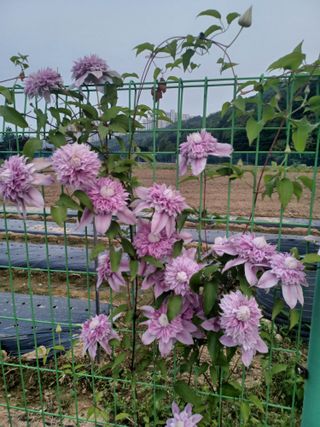 자연을사랑하자님의 자유주제 · 사진전 작성글 사진