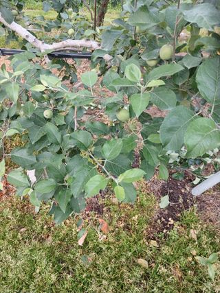 알 수 없음님의 자유주제 · 자유게시판 작성글 사진