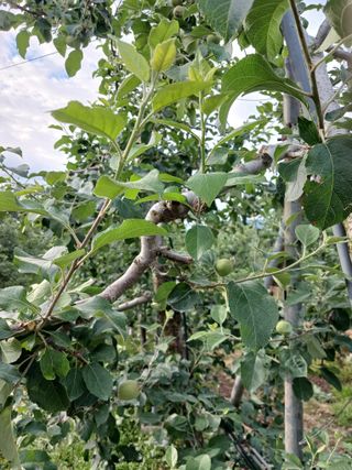 알 수 없음님의 자유주제 · 자유게시판 작성글 사진