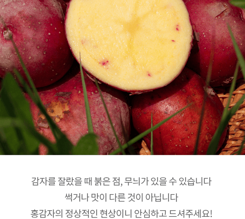 스피드번님의 장터 판매 상품 [홍감자] 첨부 사진