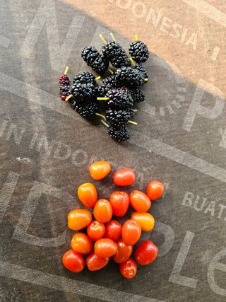 단감대봉 14598님의 작성글 사진