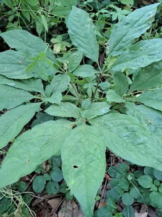 좋은인연원님의 자유주제 · 사진전 작성글 사진