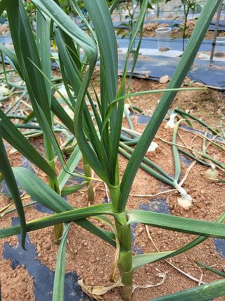 윤무섭님의 자유주제 · 자유게시판 작성글 사진