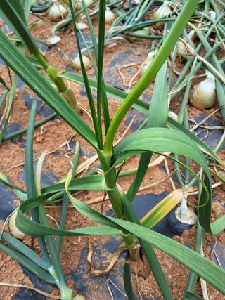 윤무섭님의 자유주제 · 자유게시판 작성글 사진