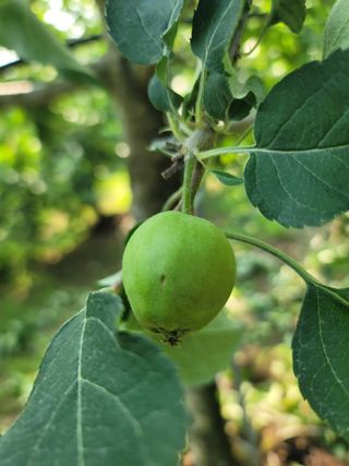 김재현님의 자유주제 · 자유게시판 작성글 사진