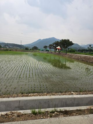 윤재하님의 자유주제 · 자유게시판 작성글 사진