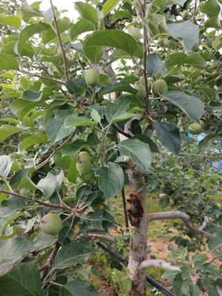 알 수 없음님의 자유주제 · 자유게시판 작성글 사진