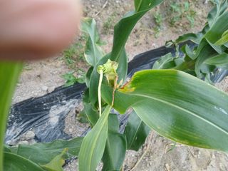 상추14154님의 자유주제 · 자유게시판 작성글 사진