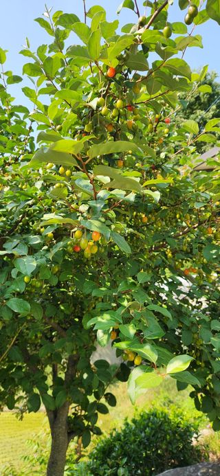 최군환님의 자유주제 · 자유게시판 작성글 사진