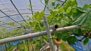 정석구님의 자유주제 · 자유게시판 작성글 사진