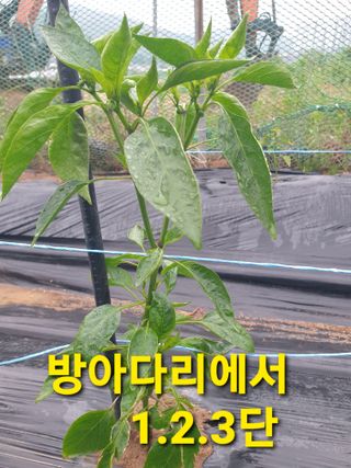 겨울연가님의 자유주제 · 자유게시판 작성글 사진