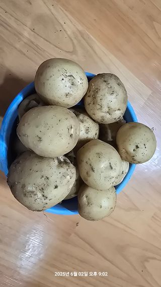 황규복(달구지)님의 자유주제 · 자유게시판 작성글 사진