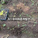 팜모닝 자유주제·자유게시판 게시글 이미지